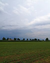 Scenic view of field against sky