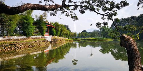 Scenic view of lake by trees against sky