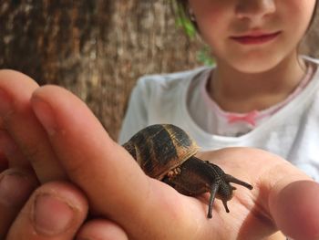 Close-up of a hand feeding