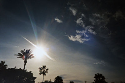 Low angle view of silhouette trees against sky during sunset