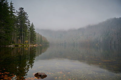 Scenic view of lake in forest against sky