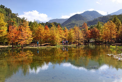 Scenic view of lake by trees during autumn