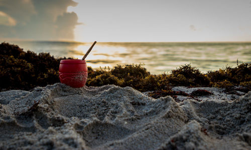 Mate at sunrise in the beach