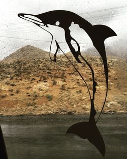 Shadow of tree on the wall