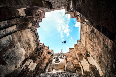 Low angle view of cat amidst buildings against sky