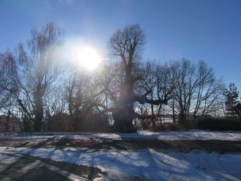 Sunlight streaming through trees on snowy field against sky