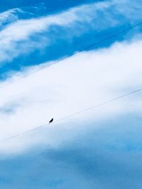 Low angle view of birds flying in sky