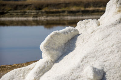 Close-up of sea shore