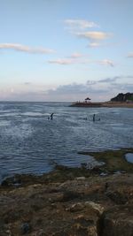 Silhouette person swimming in sea at sunset
