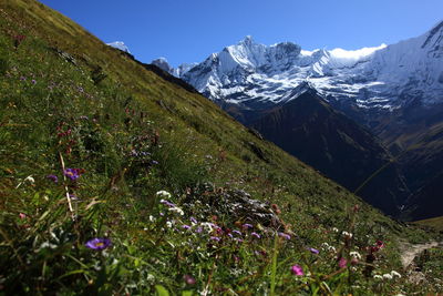 Scenic view of snowcapped mountains against clear sky