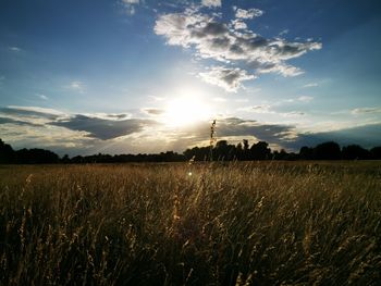 Scenic view of field against sky at sunset