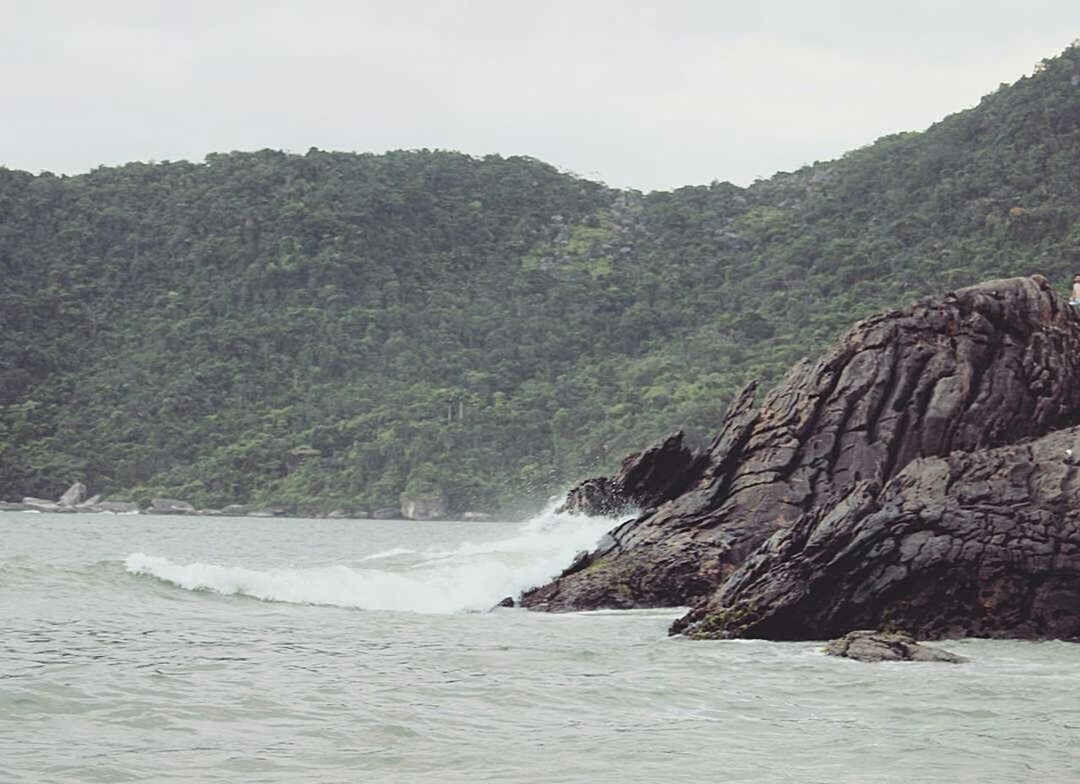 SCENIC VIEW OF BEACH