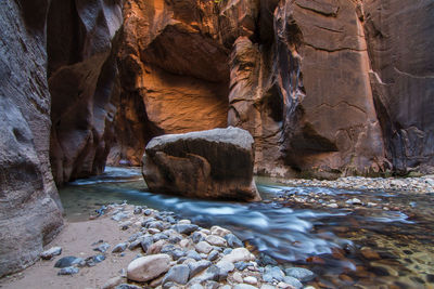 Natural landscape in autumn in the narrows at zion national park in usa