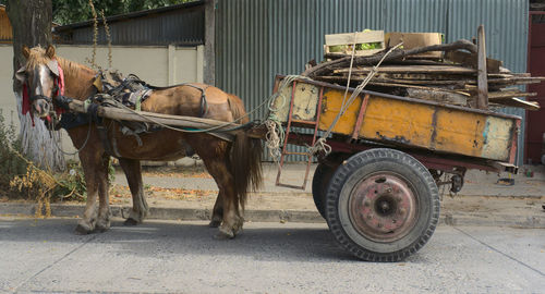 Ancient two horses cart loaded with wooden and metal junk in a village, talca, chile, south america