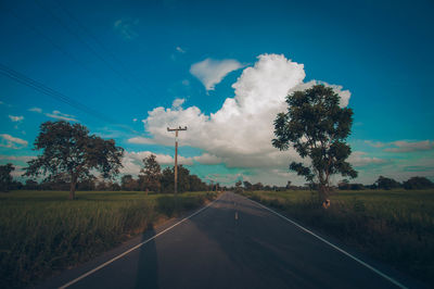 Road amidst trees on field against sky