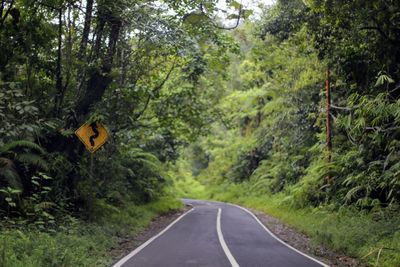 Road amidst trees in forest