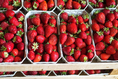 Close-up of strawberries for sale