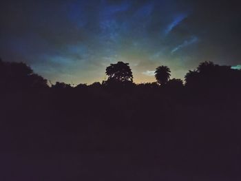 Low angle view of silhouette trees against sky at sunset