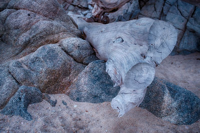 Close-up of rock