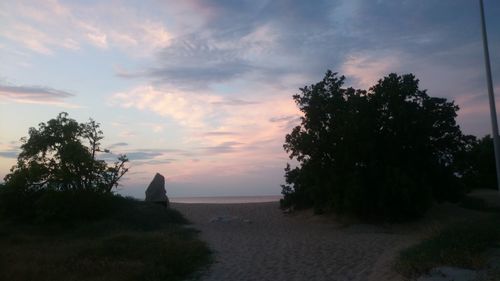 Silhouette trees by sea against sky during sunset