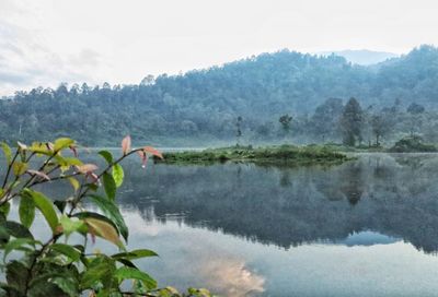 Scenic view of lake by trees against sky