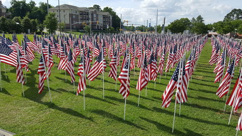 Small american flags on land in city