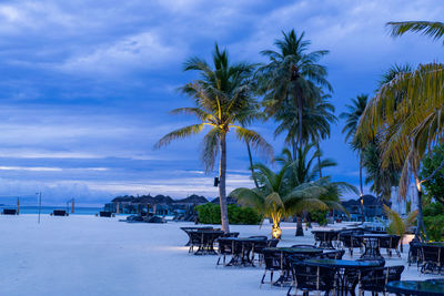 Palm trees on table by sea against sky