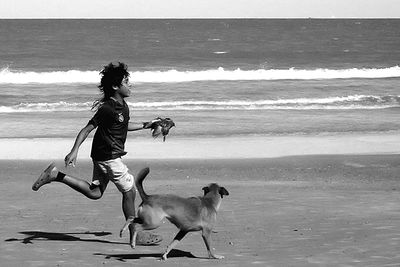 Full length of dog on beach