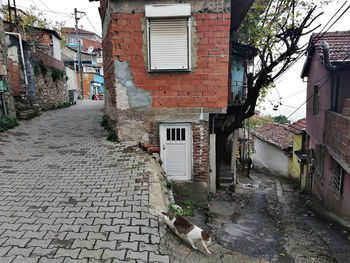 Alley amidst buildings in city