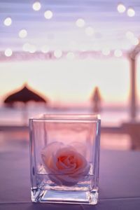 Close-up of illuminated flower on table