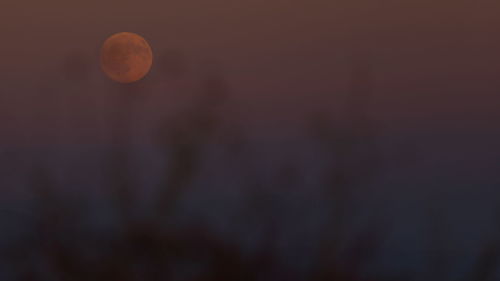 Moon in sky at night