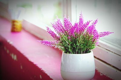 Close-up of pink flower pot