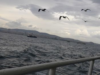 Seagulls on boat sailing in sea