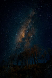 Low angle view of star field against sky at night