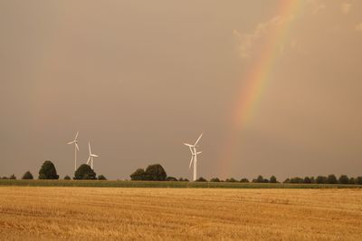 Scenic view of field against sky during sunset