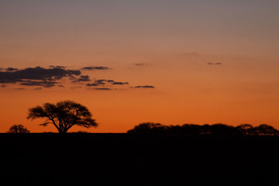 Scenic view of silhouette trees against sky during sunset