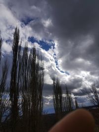 Scenic view of bare trees against cloudy sky