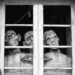 Masks seen through window
