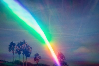 Rainbow over trees against sky