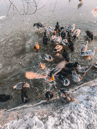 High angle view of people swimming in lake