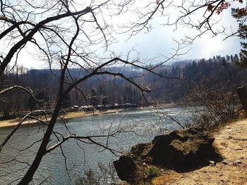 Bare trees by river against sky