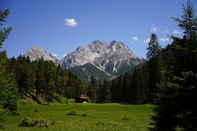 Scenic view of trees and mountains against sky