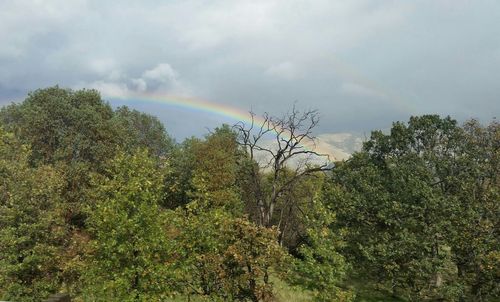 Scenic view of landscape against cloudy sky