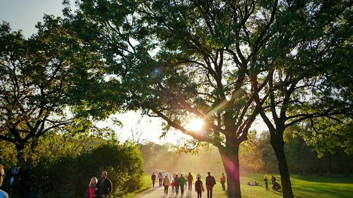 People walking on pathway amidst trees at park