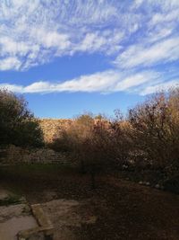 nature
