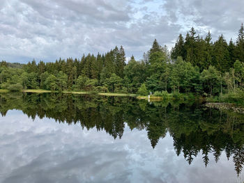 Reflection of trees in lake against sky