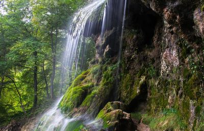 Scenic view of waterfall