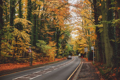 Road amidst trees at forest during autumn