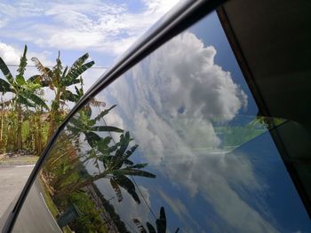 Low angle view of trees against sky
