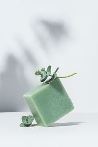 Natural eucalyptus soap isolated on white background